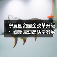 宁夏国资国企改革升级:创新驱动高质量发展新图景?(图3) 宁夏国资国企改革升级:创新驱动高质量发展新图景?(图3)