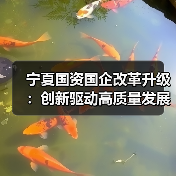 宁夏国资国企改革升级:创新驱动高质量发展新图景?(图4) 宁夏国资国企改革升级:创新驱动高质量发展新图景?(图4)