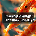 江苏装备行业稳增长:12大重点产业链如何发力?(图1) 江苏装备行业稳增长:12大重点产业链如何发力?(图1)