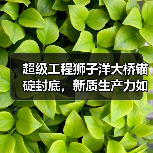超级工程狮子洋大桥锚碇封底，新质生产力如何打造“定海神针”？（图3）
