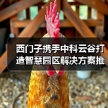 西门子携手中科云谷打造智慧园区解决方案推动工程机械行业低碳转型(图3) 西门子携手中科云谷打造智慧园区解决方案推动工程机械行业低碳转型(图3)
