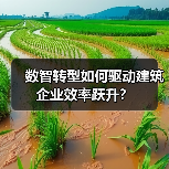 数智转型如何驱动建筑企业效率跃升?(图2) 数智转型如何驱动建筑企业效率跃升?(图2)