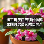 柳工携手广西现代物流集团开启多领域深度合作（图1）