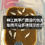柳工携手广西现代物流集团开启多领域深度合作（图3）