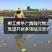 柳工携手广西现代物流集团开启多领域深度合作（图4）