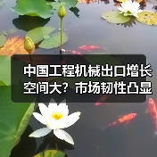 中国工程机械出口增长空间大？市场韧性凸显（图3）