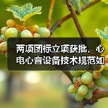 两项团标立项获批,心电心音设备技术规范如何引领行业?(图2) 两项团标立项获批,心电心音设备技术规范如何引领行业?(图2)