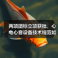 两项团标立项获批,心电心音设备技术规范如何引领行业?(图3) 两项团标立项获批,心电心音设备技术规范如何引领行业?(图3)