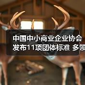 中国中小商业企业协会发布11项团体标准 多领域覆盖提升行业规范（图2）