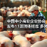 中国中小商业企业协会发布11项团体标准 多领域覆盖提升行业规范（图3）