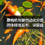 盾构机驾驶自动化分级团体标准发布，详解自动化等级划分规范（图3）