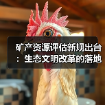 矿产资源评估新规出台：生态文明改革的落地举措（图3）