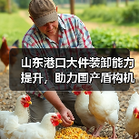 山东港口大件装卸能力提升,助力国产盾构机出口(图1) 山东港口大件装卸能力提升,助力国产盾构机出口(图1)