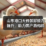 山东港口大件装卸能力提升,助力国产盾构机出口(图2) 山东港口大件装卸能力提升,助力国产盾构机出口(图2)