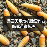 暴雪天平地机除雪作业保障道路畅通（图1）