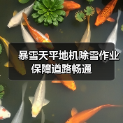 暴雪天平地机除雪作业保障道路畅通（图4）