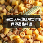 暴雪天平地机除雪作业保障道路畅通（图3）