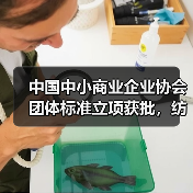 中国中小商业企业协会团体标准立项获批，纺织机械领域首当其冲？（图1）