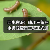 西水东济！珠江三角洲水资源配置工程正式通水，解决大湾区缺水难题（图1）