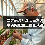 西水东济！珠江三角洲水资源配置工程正式通水，解决大湾区缺水难题（图2）