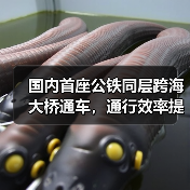 国内首座公铁同层跨海大桥通车,通行效率提升(图4) 国内首座公铁同层跨海大桥通车,通行效率提升(图4)