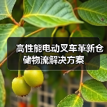 高性能电动叉车革新仓储物流解决方案(图2) 高性能电动叉车革新仓储物流解决方案(图2)