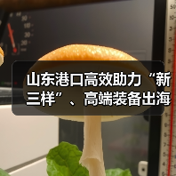 山东港口高效助力“新三样”、高端装备出海加速(图3) 山东港口高效助力“新三样”、高端装备出海加速(图3)