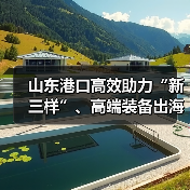 山东港口高效助力“新三样”、高端装备出海加速(图4) 山东港口高效助力“新三样”、高端装备出海加速(图4)