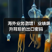 海外业务激增!业绩飙升背后的出口密码(图4) 海外业务激增!业绩飙升背后的出口密码(图4)