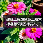 建筑工程绿色施工技术标准等5项团标发布，新规将如何影响行业？（图4）