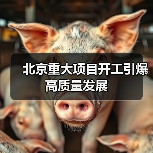 北京重大项目开工引爆高质量发展（图1）