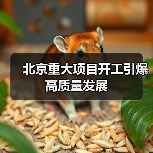 北京重大项目开工引爆高质量发展（图3）
