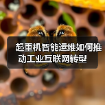 起重机智能运维如何推动工业互联网转型(图2) 起重机智能运维如何推动工业互联网转型(图2)