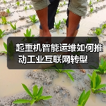 起重机智能运维如何推动工业互联网转型(图3) 起重机智能运维如何推动工业互联网转型(图3)
