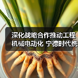 深化战略合作推动工程机械电动化 宁德时代携手临工重机共谋绿色转型(图3) 深化战略合作推动工程机械电动化 宁德时代携手临工重机共谋绿色转型(图3)