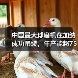 中国最大球磨机在加纳成功吊装,年产能超750万吨如何助力矿山建设?(图3) 中国最大球磨机在加纳成功吊装,年产能超750万吨如何助力矿山建设?(图3)