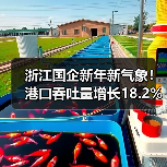 浙江国企新年新气象!港口吞吐量增长18.2% 风电项目并网助力开门红(图4) 浙江国企新年新气象!港口吞吐量增长18.2% 风电项目并网助力开门红(图4)