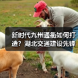 新时代九州通衢如何打造?湖北交通建设先锋的突破与成就(图1) 新时代九州通衢如何打造?湖北交通建设先锋的突破与成就(图1)