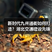 新时代九州通衢如何打造?湖北交通建设先锋的突破与成就(图4) 新时代九州通衢如何打造?湖北交通建设先锋的突破与成就(图4)