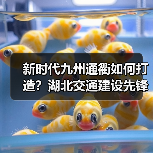 新时代九州通衢如何打造?湖北交通建设先锋的突破与成就(图3) 新时代九州通衢如何打造?湖北交通建设先锋的突破与成就(图3)