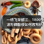 一桥飞架郁江,1800型波形钢腹板如何改写桥梁史?(图1) 一桥飞架郁江,1800型波形钢腹板如何改写桥梁史?(图1)