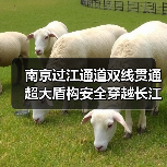 南京过江通道双线贯通 超大盾构安全穿越长江难关
