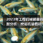 2023年工程机械销量数据分析:挖掘机装载机销售表现如何?(图3) 2023年工程机械销量数据分析:挖掘机装载机销售表现如何?(图3)