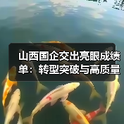 山西国企交出亮眼成绩单:转型突破与高质量发展路径(图4) 山西国企交出亮眼成绩单:转型突破与高质量发展路径(图4)