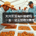 大兴区营商环境破局：一业一证云踏勘创新举措揭秘（图2）