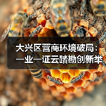 大兴区营商环境破局：一业一证云踏勘创新举措揭秘（图4）