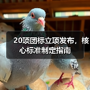 20项团标立项发布,核心标准制定指南(图2) 20项团标立项发布,核心标准制定指南(图2)