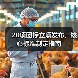 20项团标立项发布,核心标准制定指南(图1) 20项团标立项发布,核心标准制定指南(图1)