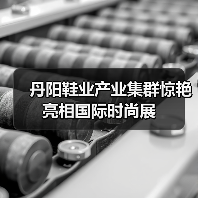 丹阳鞋业产业集群惊艳亮相国际时尚展(图4) 丹阳鞋业产业集群惊艳亮相国际时尚展(图4)