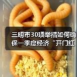 三明市30项举措如何确保一季度经济“开门红”?(图1) 三明市30项举措如何确保一季度经济“开门红”?(图1)